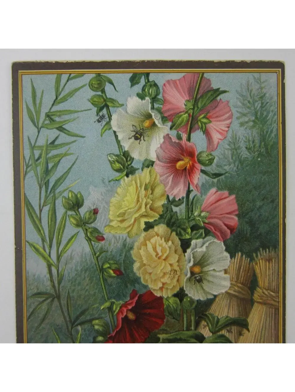 Victorian Greeting Card Flowers Red Pink White Hollyhocks Bee Dragonfly Antique